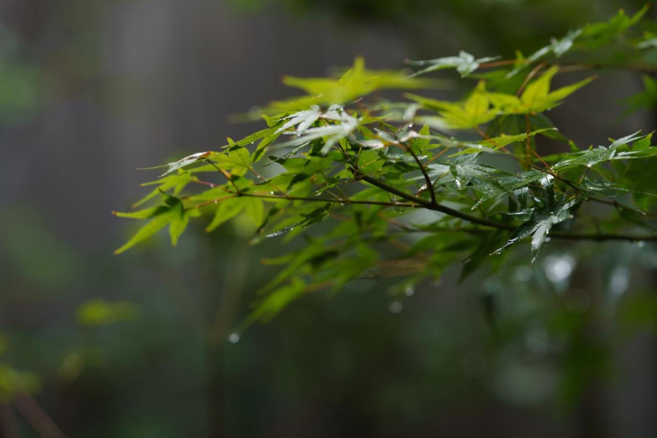toutou Onzaki Machiya no Yado Kurashiki Exterior foto
